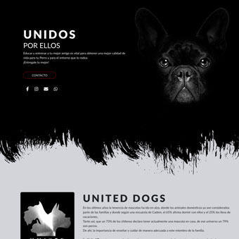 United Dogs